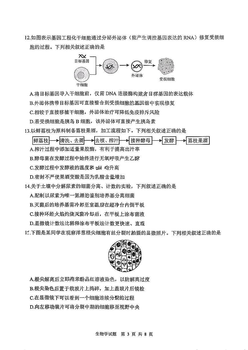 江苏省徐州市2025-2026学年高三上学期期中抽测生物试题（含答案）第3页