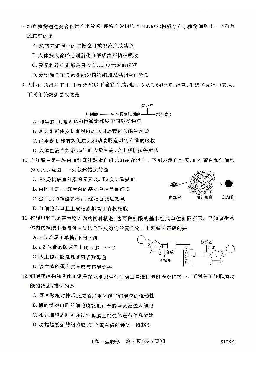 河南省新未来大联考2025-2026学年高一上学期10月月考质量检测生物试题含答案第3页