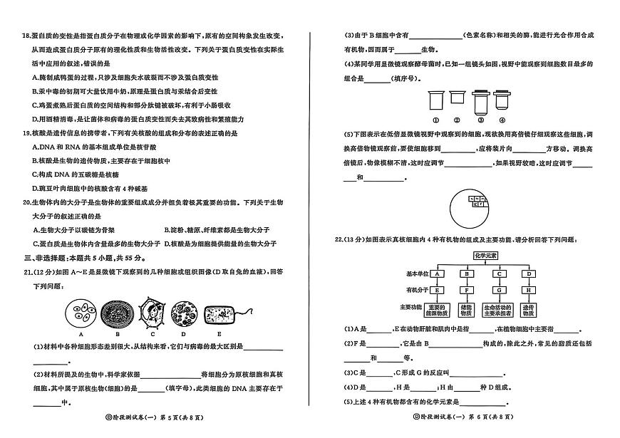 黑龙江省双鸭山市部分学校2025-2026学年高一上学期9月月考生物试题（扫描版，有解析）第3页
