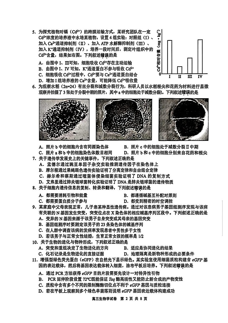 江苏省无锡市2025-2026学年高三上学期11月期中考试生物试卷第2页