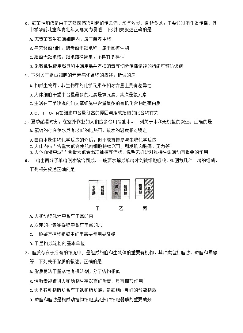 河南省九师联盟2025-2026学年高一上学期11月期中考试生物试卷第2页