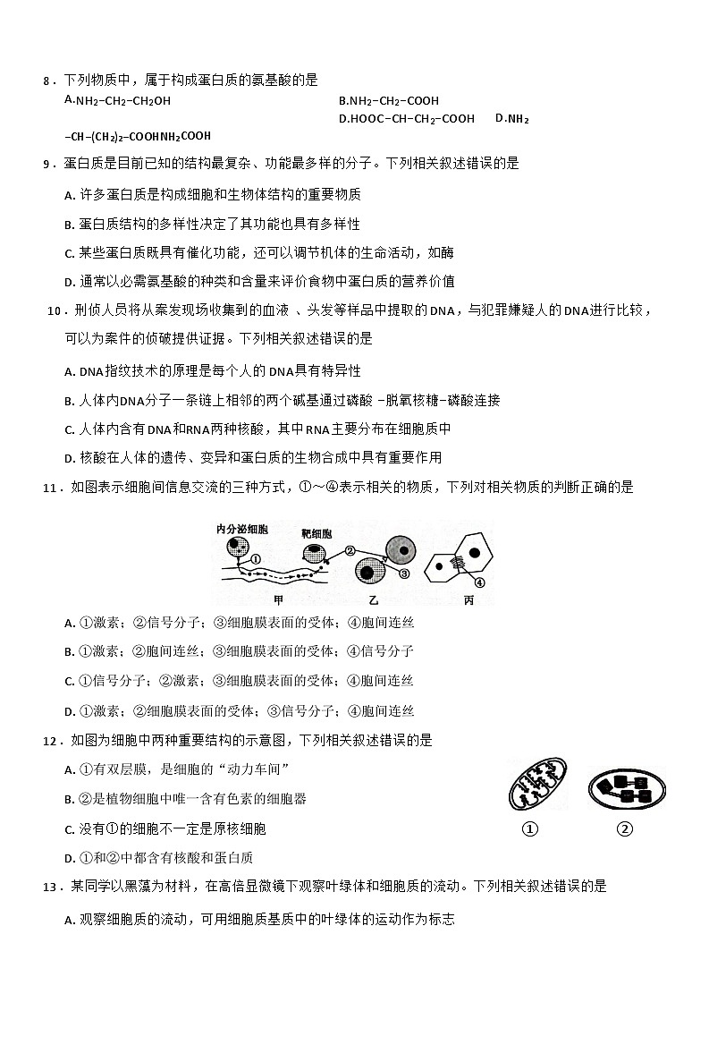 河南省九师联盟2025-2026学年高一上学期11月期中考试生物试卷第3页
