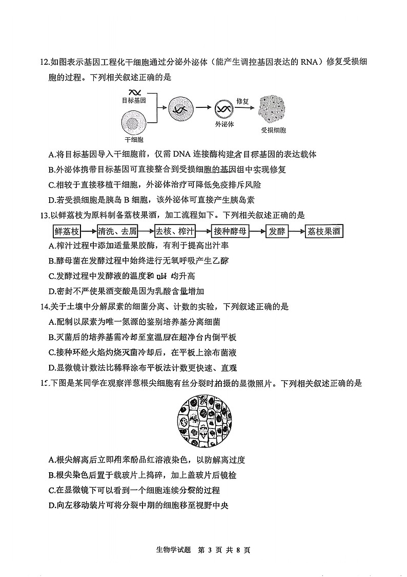 江苏省徐州市2025-2026学年高三上学期期中考试生物试卷第3页