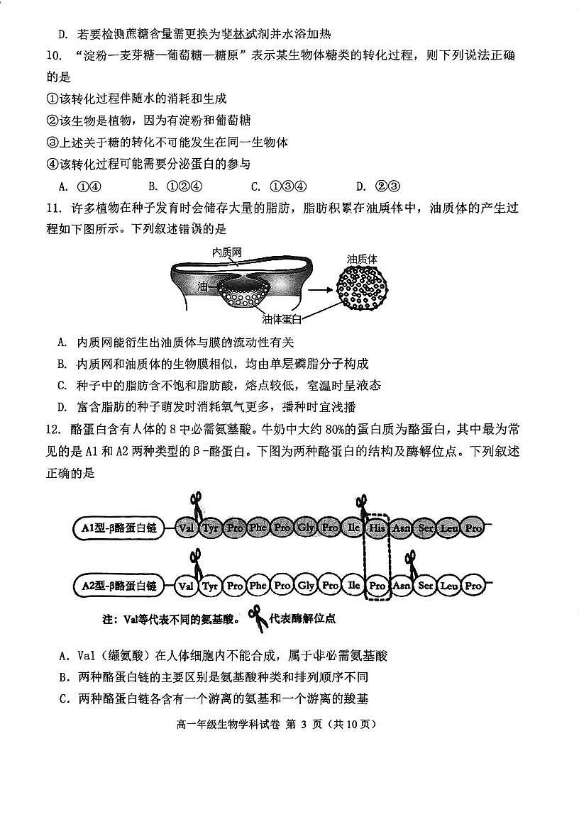 河北省石家庄市第一中学2025-2026学年高一上学期期中考试生物试题第3页