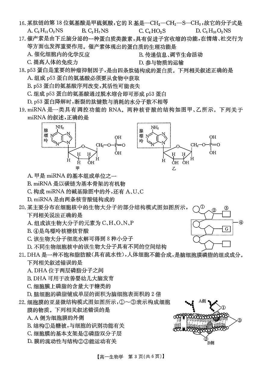 辽宁省辽阳市2025-2026学年高一上学期期中考试生物试卷第3页