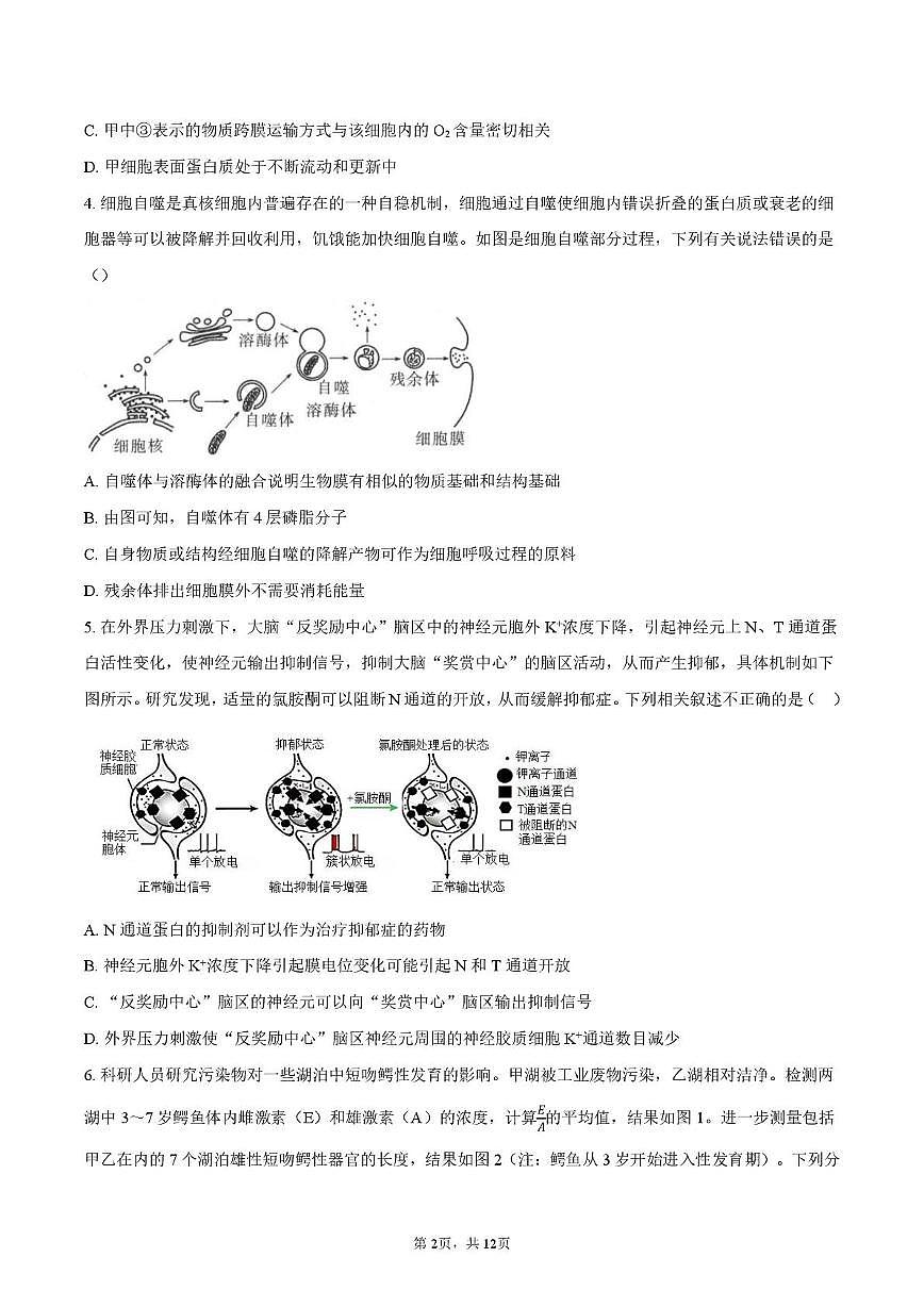 四川省绵阳第一中学2025-2026学年高三上学期期中考试生物试题第2页