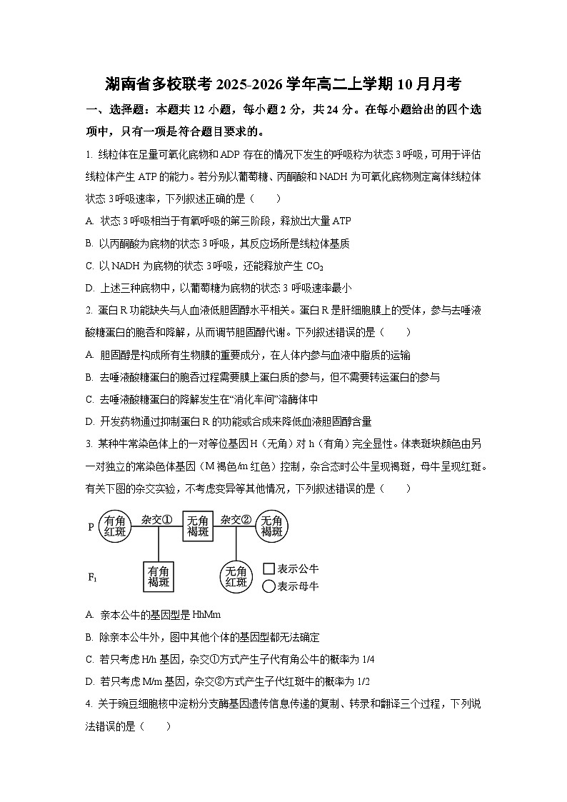 2025~2026学年湖南省多校联考高二（上）10月月考生物试题（学生版）第1页