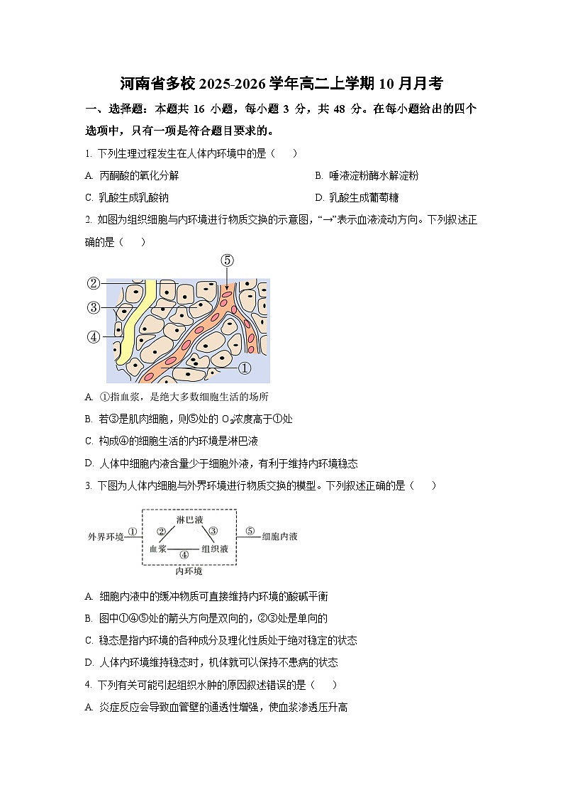 2025~2026学年河南省多校高二（上）10月月考生物试题（学生版）第1页