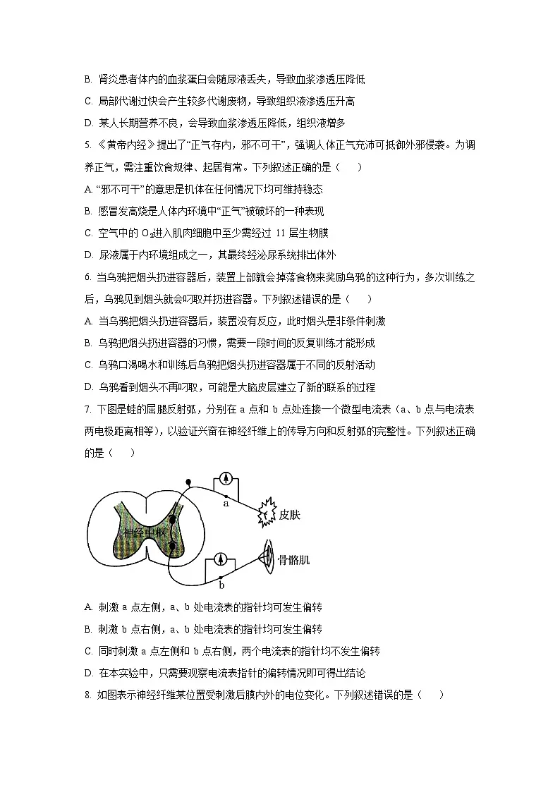2025~2026学年河南省多校高二（上）10月月考生物试题（学生版）第2页