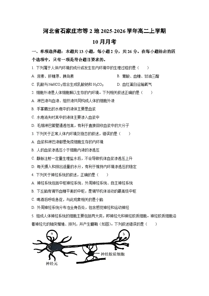 2025~2026学年河北省石家庄市等2地高二（上）10月月考生物试题（学生版）第1页