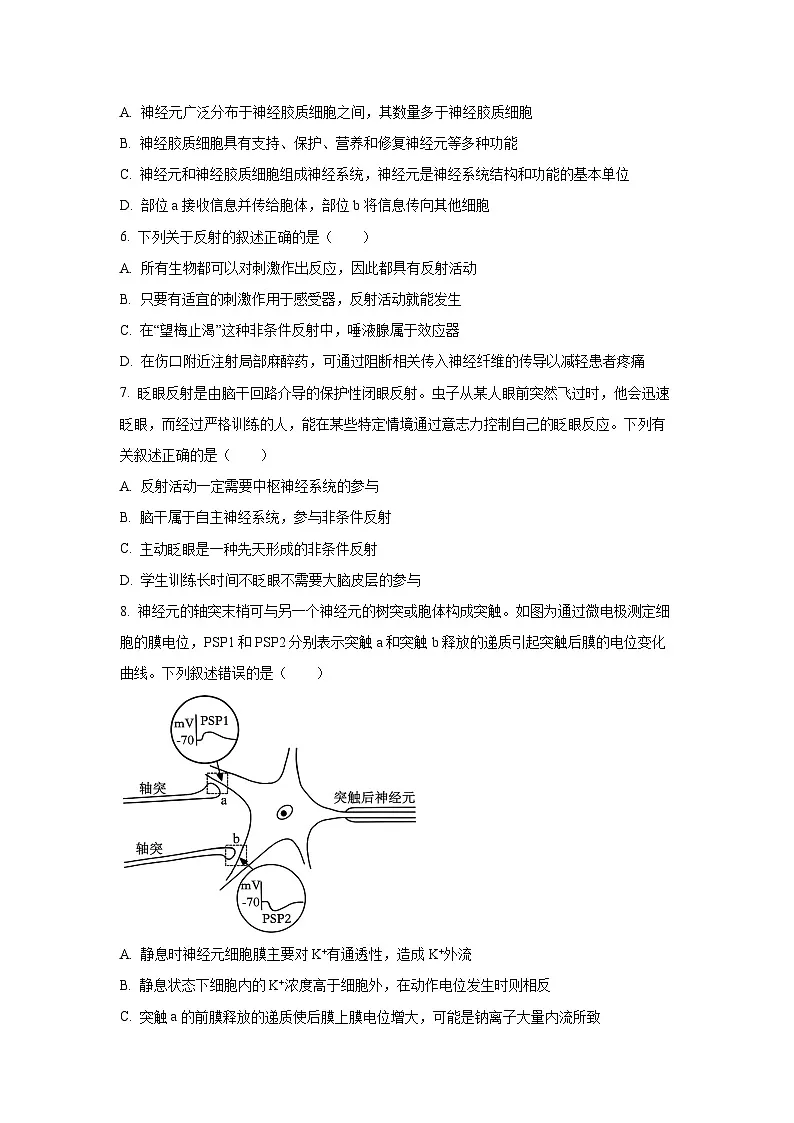 2025~2026学年河北省石家庄市等2地高二（上）10月月考生物试题（学生版）第2页