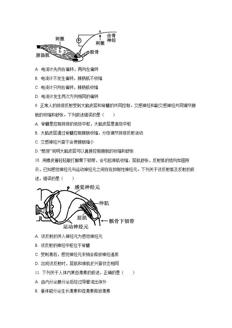 2025~2026学年河北省高二（上）10月月考生物试题（学生版）第3页
