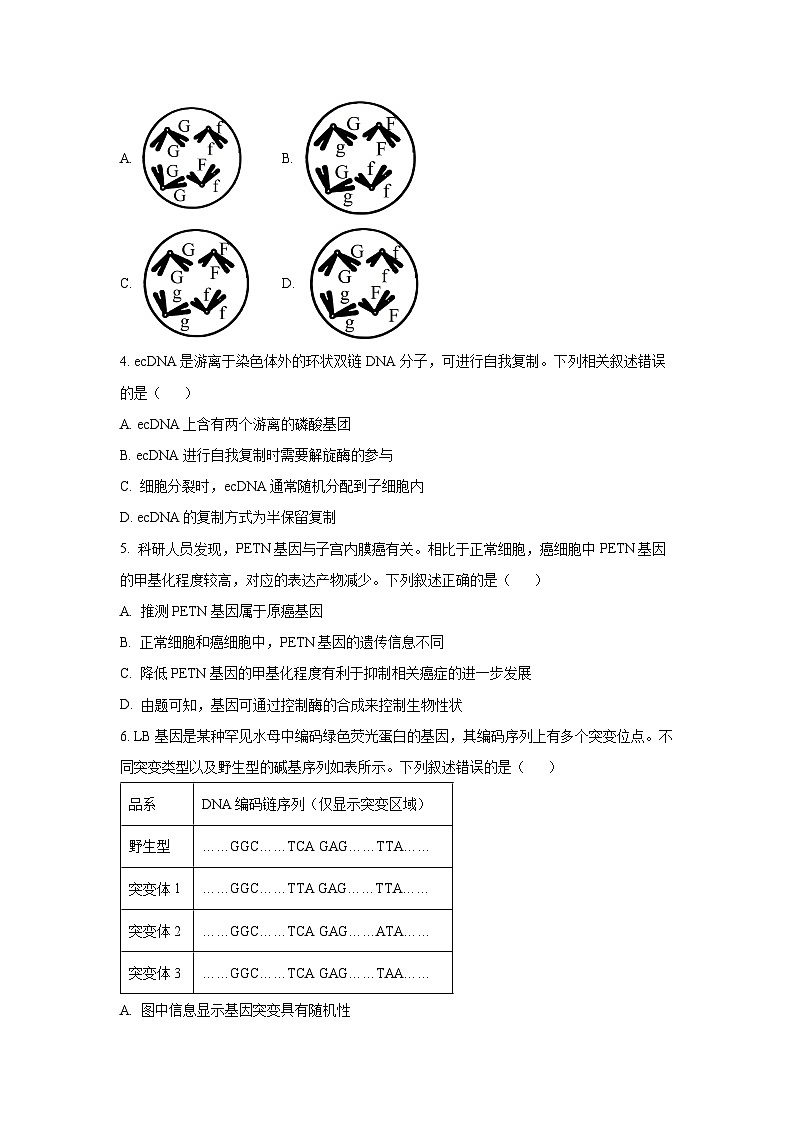 2025~2026学年贵州省部分学校高二（上）10月联考生物试题（学生版）第2页