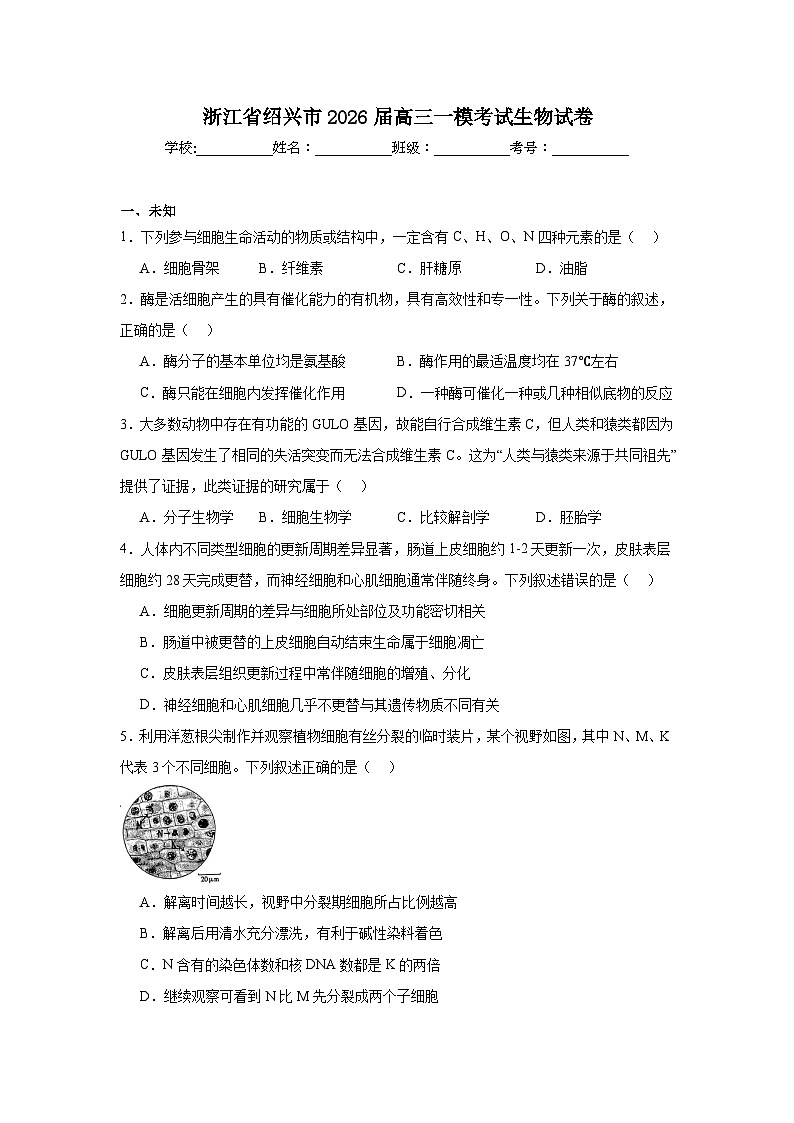 2025-2026学年浙江省绍兴市高三一模考试生物试卷（无答案）第1页