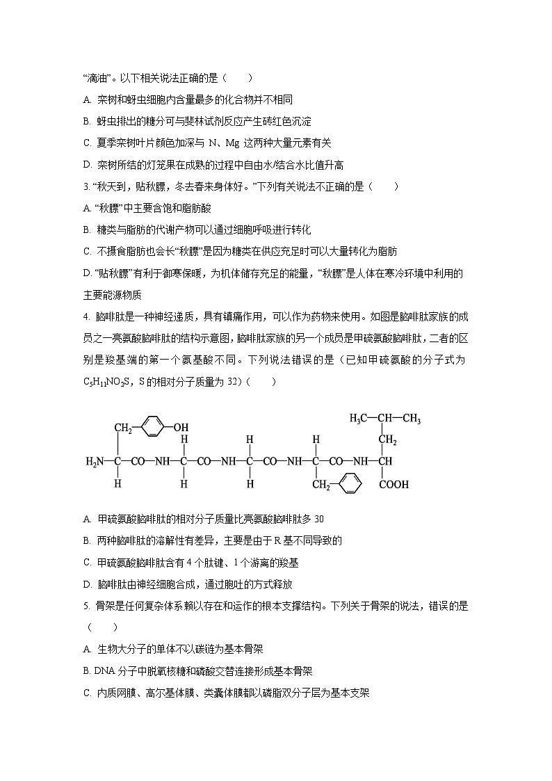 2025~2026学年湖北省八校高三（上）10月月考生物试题（学生版）第2页