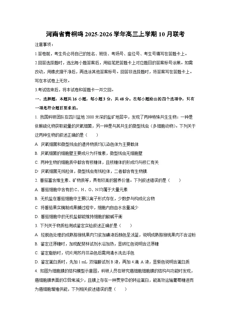 2025~2026学年河南省青桐鸣高三（上）10月联考生物试题（学生版）第1页