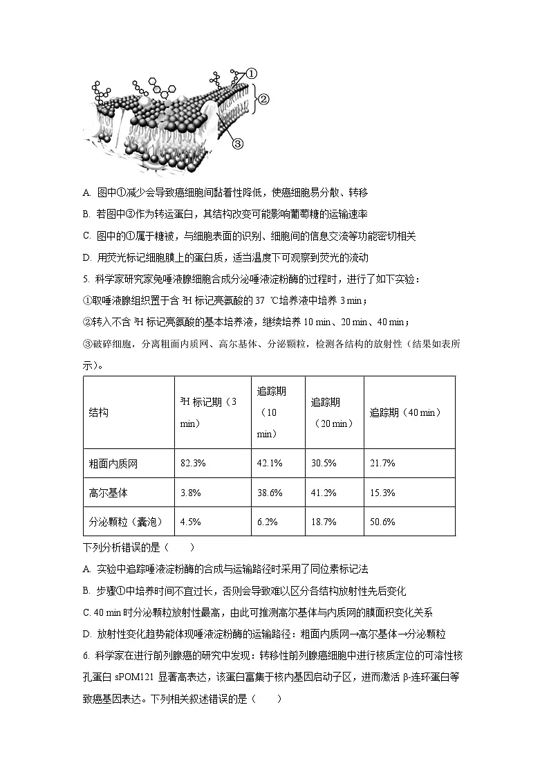 2025~2026学年河南省青桐鸣高三（上）10月联考生物试题（学生版）第2页