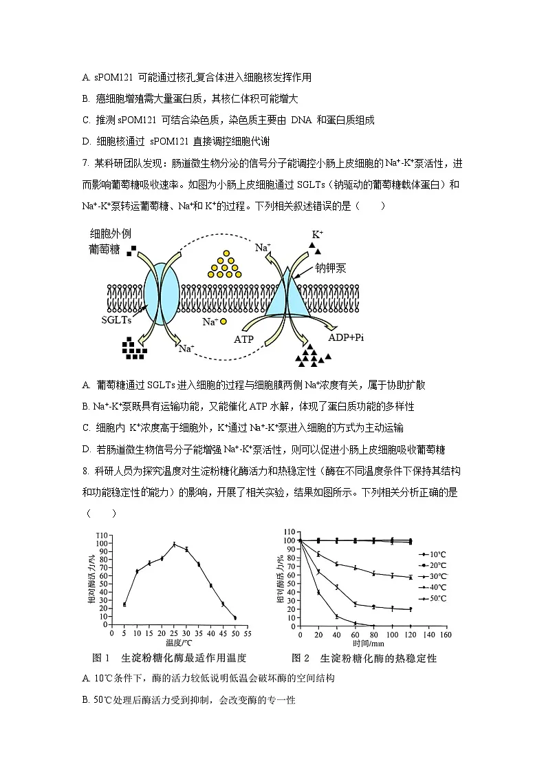 2025~2026学年河南省青桐鸣高三（上）10月联考生物试题（学生版）第3页