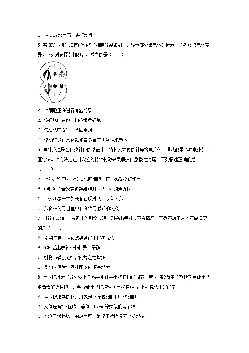 2025~2026学年广东省部分学校高三（上）10月联考生物试题（学生版）第2页