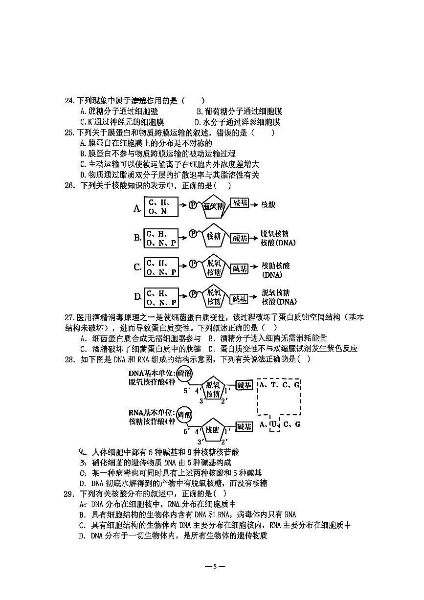 2025北京理工大附中高一（上）期中生物试卷（教师版）第3页