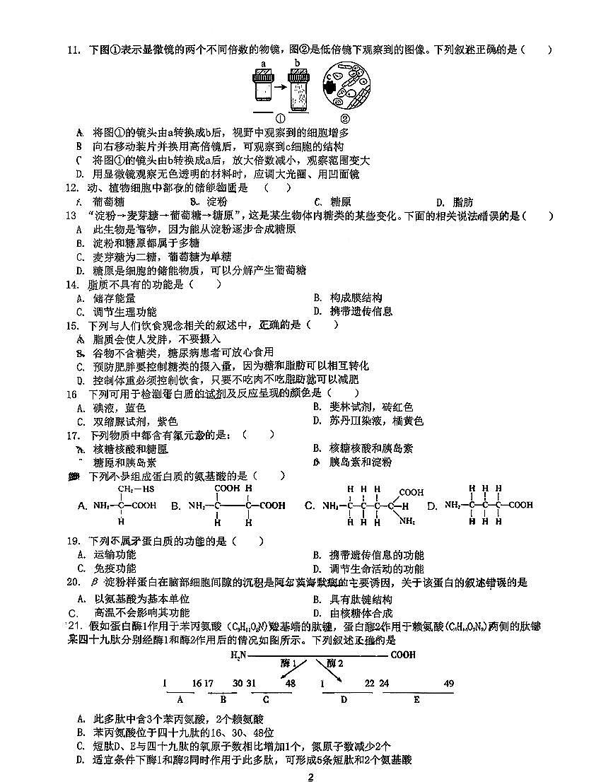 2025北京交大附中高一（上）期中生物试卷（教师版）第2页