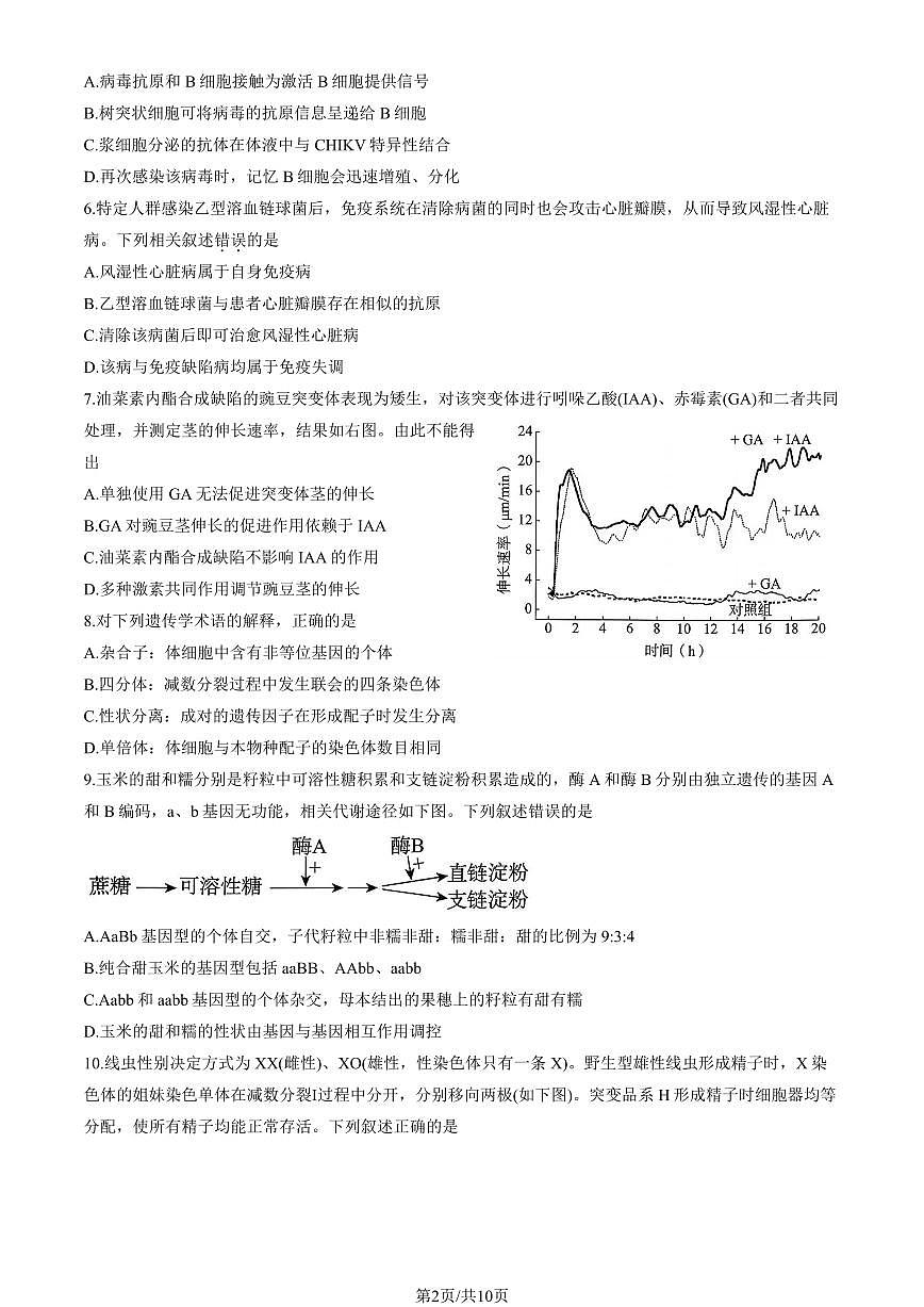 2025北京海淀高三（上）期中生物试卷（教师版）第2页