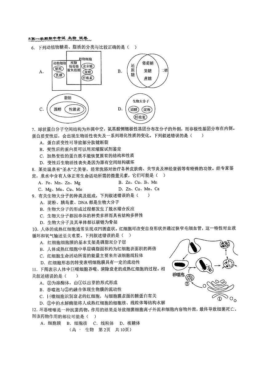 2025北京八十中高一（上）期中生物试卷第2页