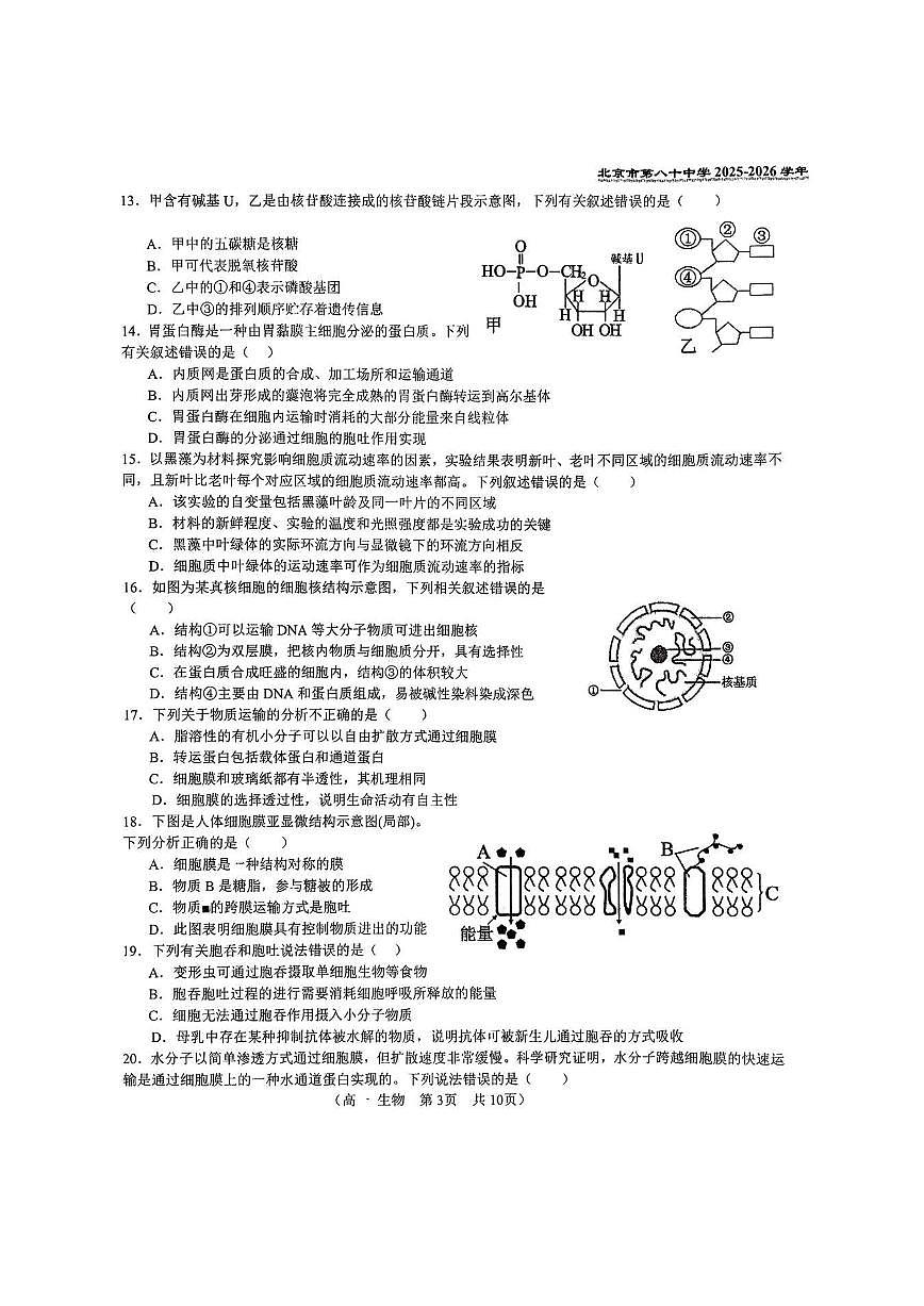 2025北京八十中高一（上）期中生物试卷第3页