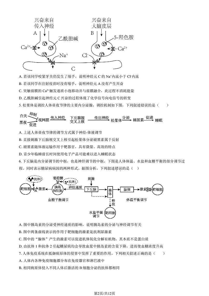 2025北京八十中高二（上）期中生物试卷（教师版）第2页