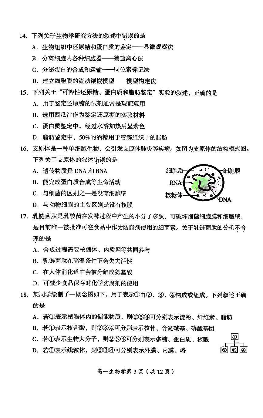 2025北京房山高一（上）期中生物试卷（教师版）第3页