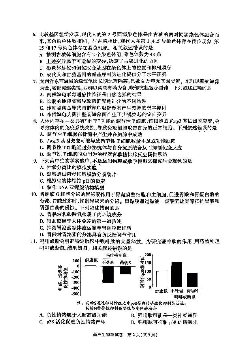 2025北京朝阳高三（上）期中生物试卷（教师版）第2页
