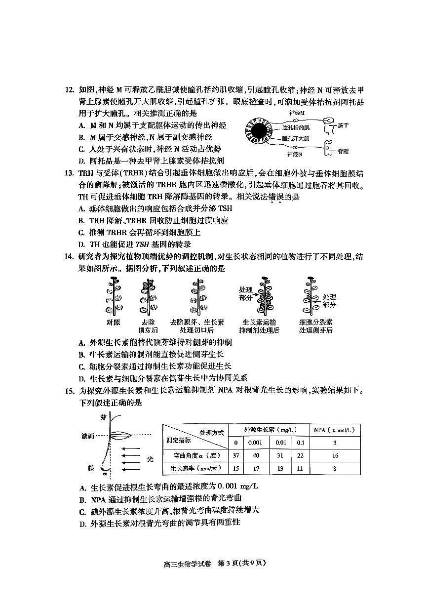 2025北京朝阳高三（上）期中生物试卷（教师版）第3页