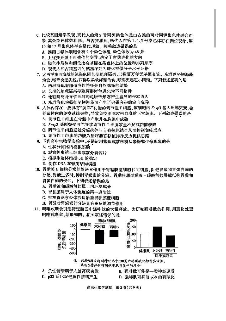北京市朝阳区2025-2026学年高三上学期期中质量监测生物试卷（含答案）第2页