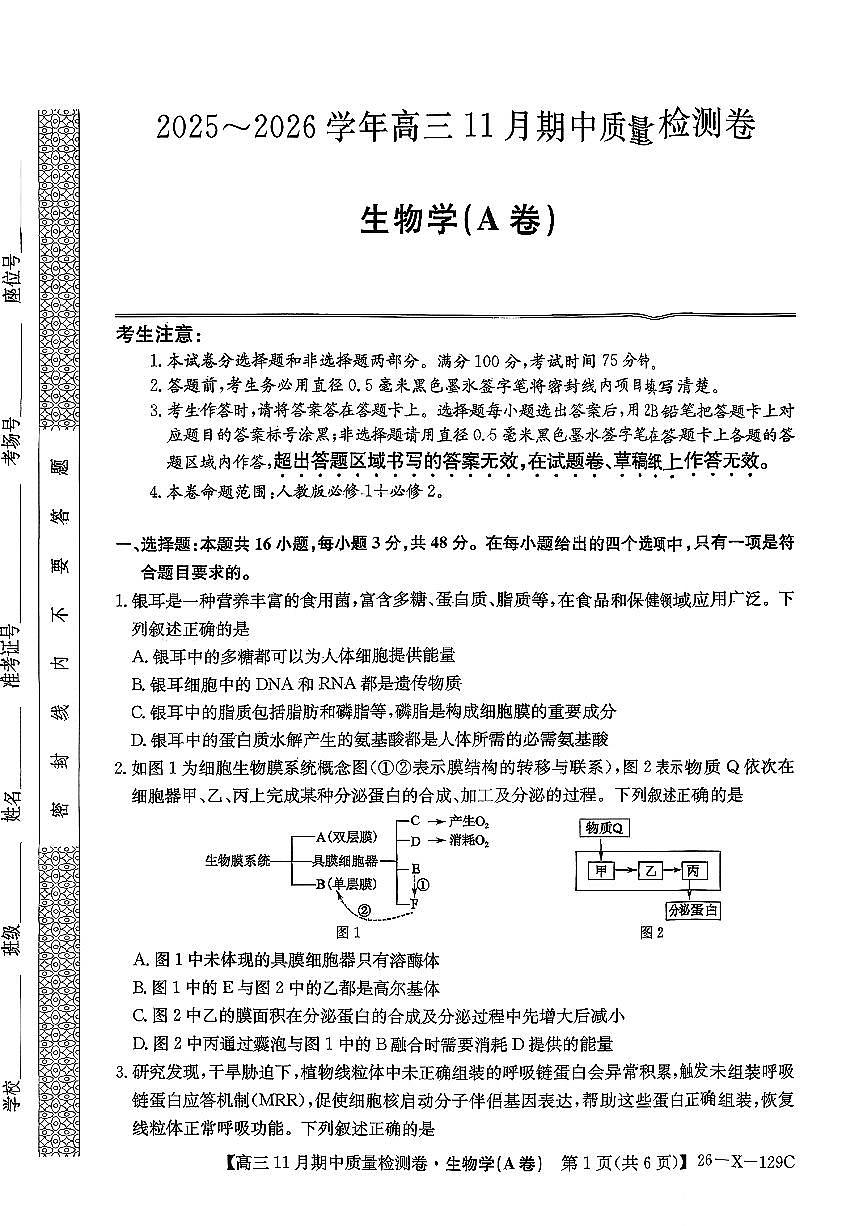 山西三晋卓越联盟（天成大联考）2025-2026高三上学期期中质量检测生物试卷（含答案）第1页