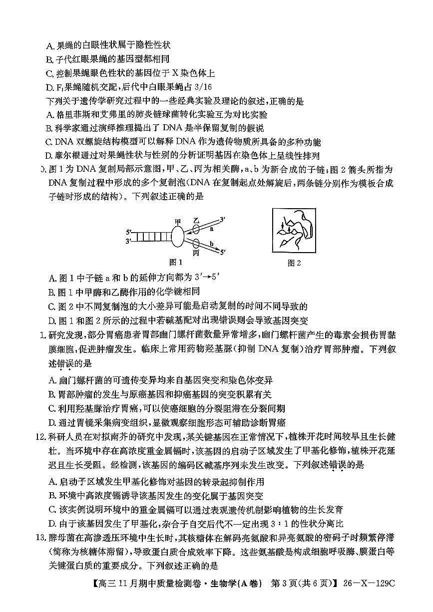 山西三晋卓越联盟（天成大联考）2025-2026高三上学期期中质量检测生物试卷（含答案）第3页