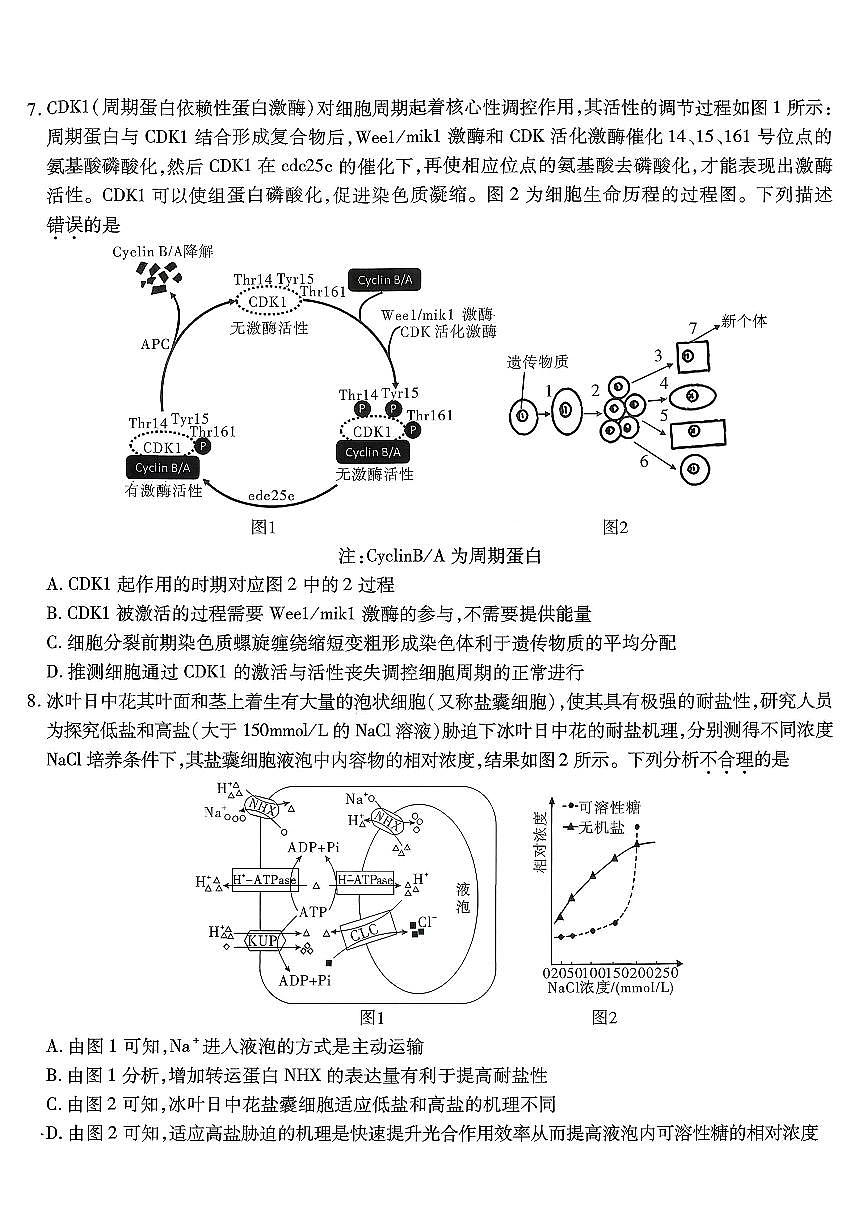 南开中学高2026届高三第三次质量检测生物第3页
