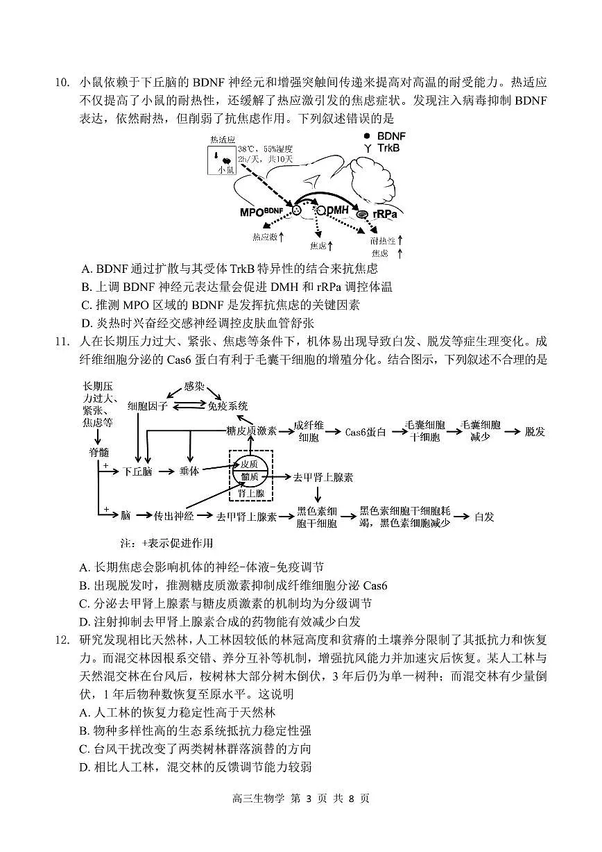 广东省深圳市一模2026届高三第一次模拟联测 生物试题+答案第3页