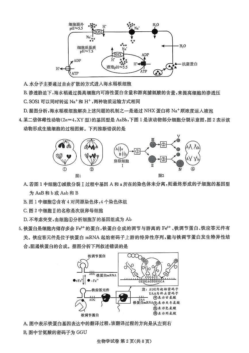 生物-湖南省湘东教学联盟2025年11月高三上学期联考试题及答案第2页