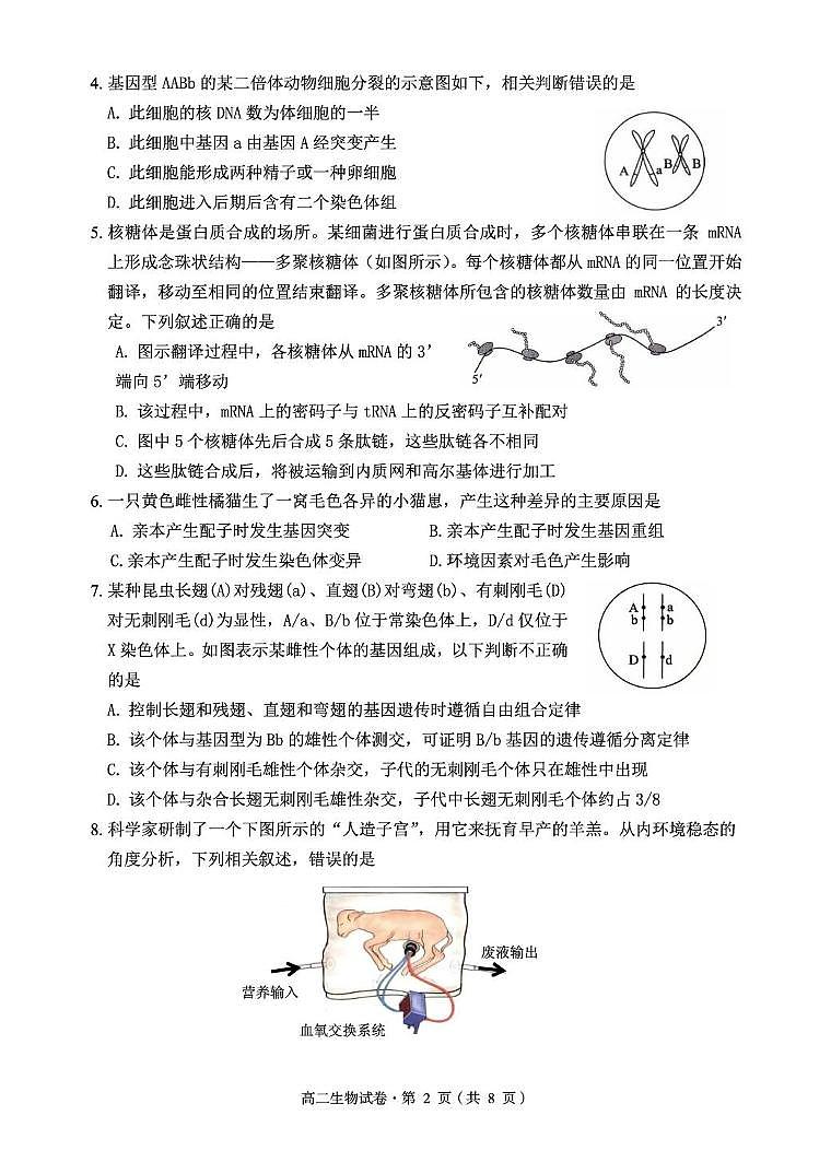 云南省昆明市嵩明县2025-2026学年高二上学期11月期中生物试题第2页