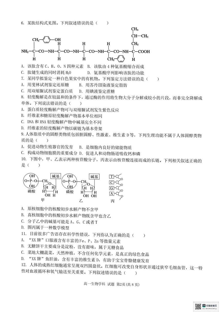 浙江省宁波六校联盟2025-2026学年高一上学期11月期中生物试题第2页