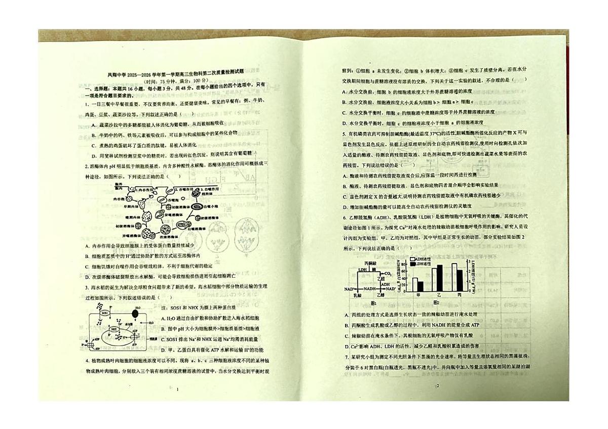 陕西省宝鸡市某校2025-2026学年高三上学期第二次质量检测生物试卷（月考）第1页