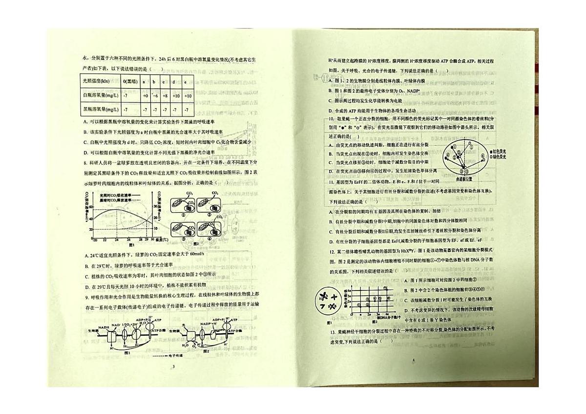 陕西省宝鸡市某校2025-2026学年高三上学期第二次质量检测生物试卷（月考）第2页