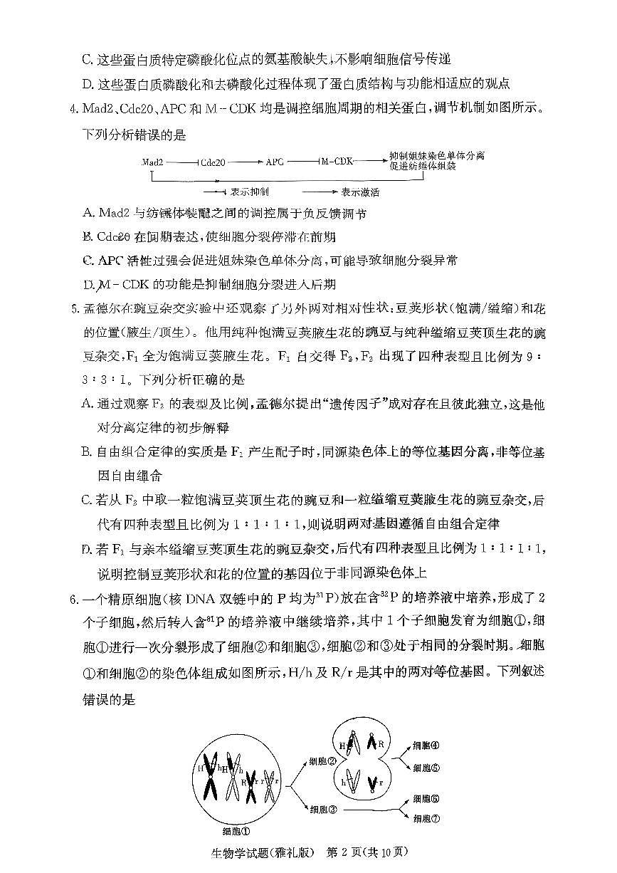 湖南省长沙市雅礼中学2025-2026学年高三上学期11月月考生物试题第2页