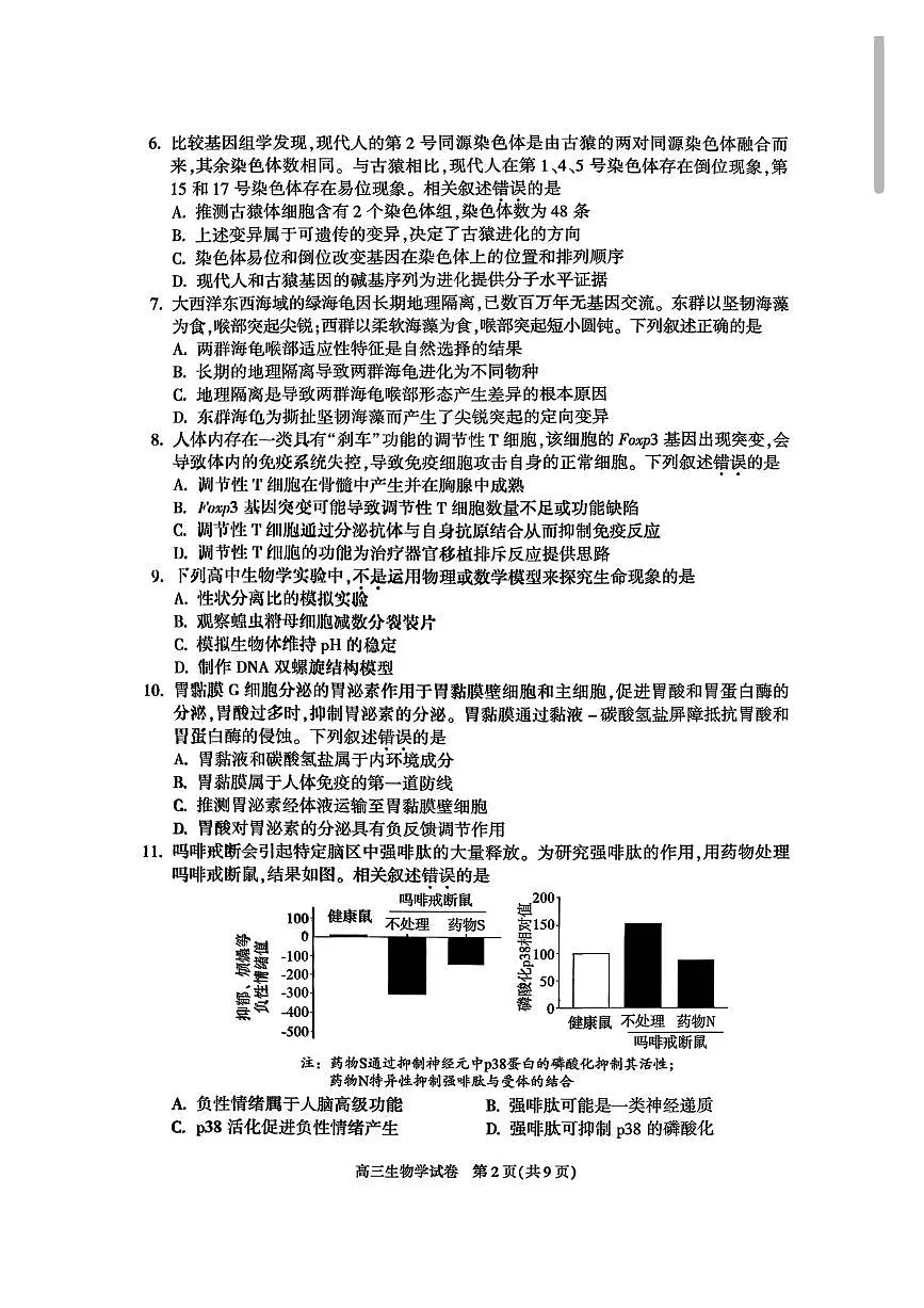 北京市朝阳区2026届高三上学期期中质量检测生物试题+答案第2页