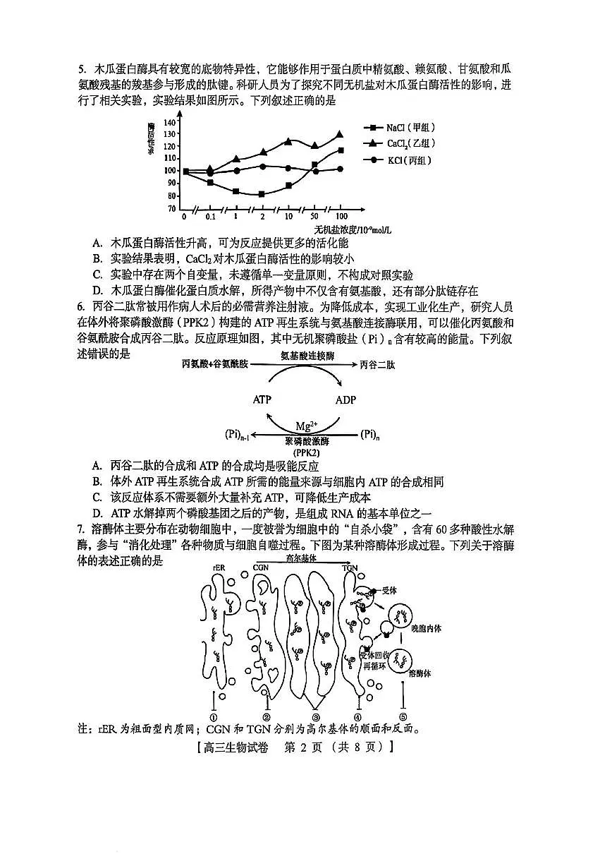 河南省三上学期门峡市2026届高三上学期11月阶段性考生物试卷+答案第2页