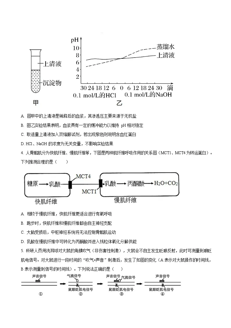 重庆市巴蜀中学教育集团2025-2026学年高二上学期10月月考生物试卷第2页