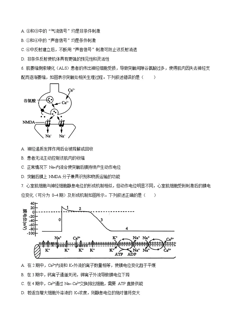 重庆市巴蜀中学教育集团2025-2026学年高二上学期10月月考生物试卷第3页