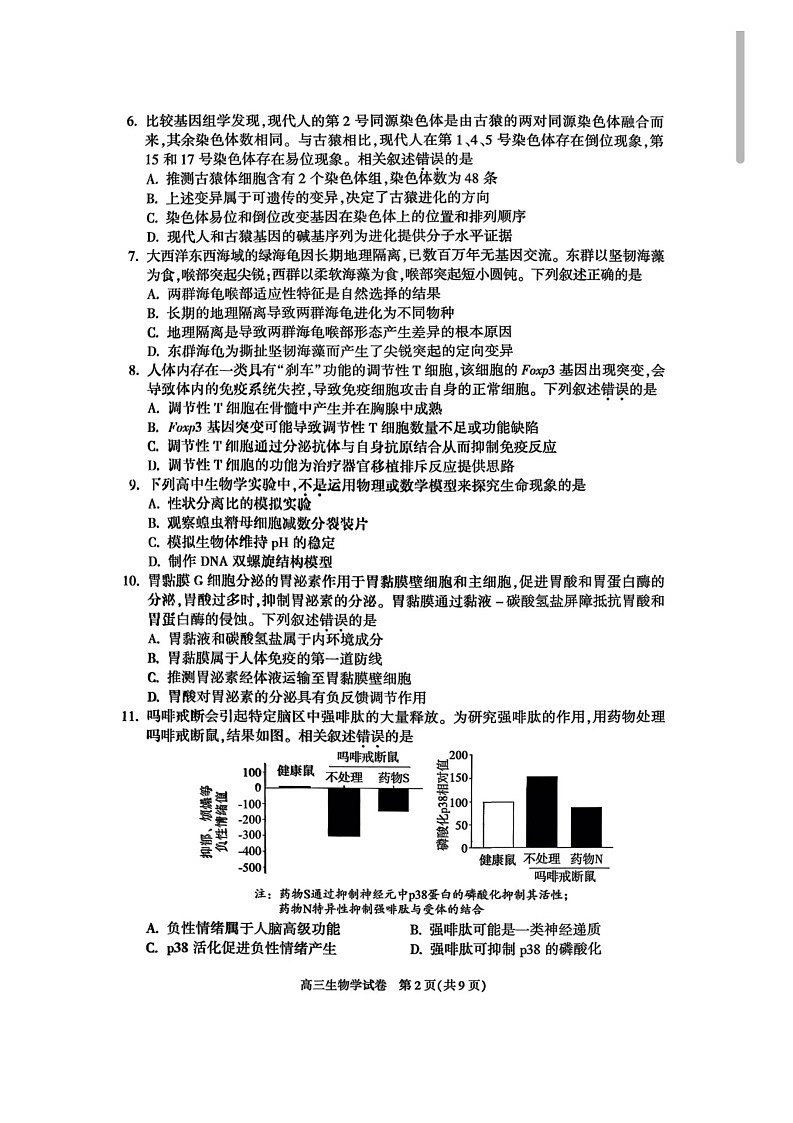 北京市朝阳区2025-2026学年高三上学期11月期中考试生物试卷第2页