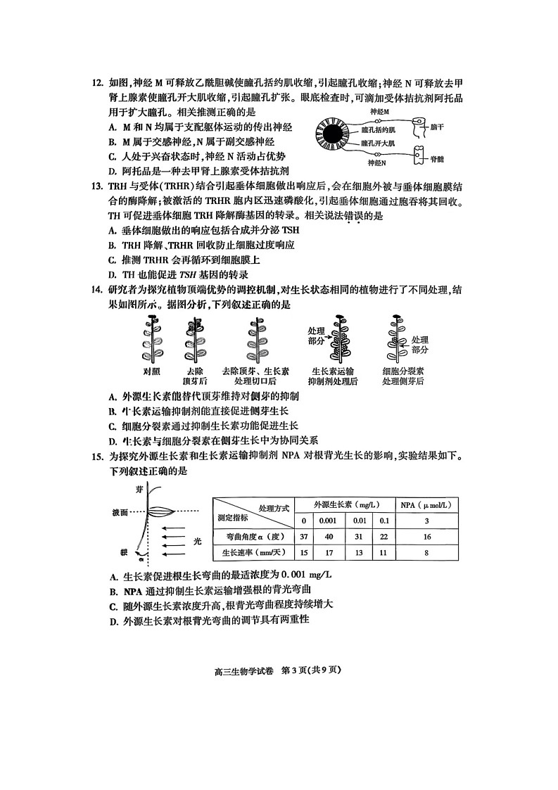 北京市朝阳区2025-2026学年高三上学期11月期中考试生物试卷第3页