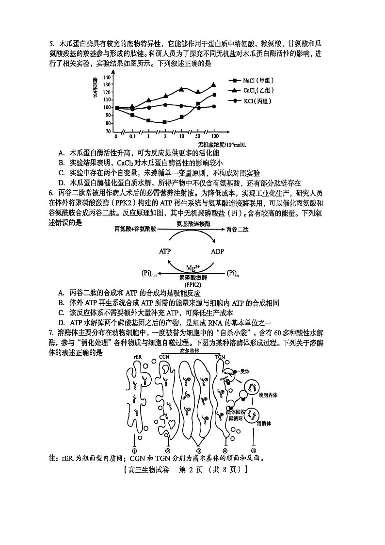 河南省三门峡市2025-2026学年高三上学期11月考试生物试卷第2页